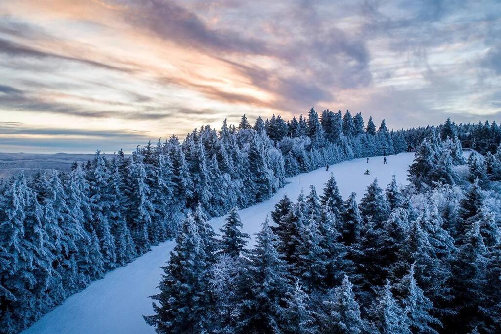 Mountain Lodge Getaway, Ski-In/Ski-Out, Heart Of The Village Snowshoe Exterior photo
